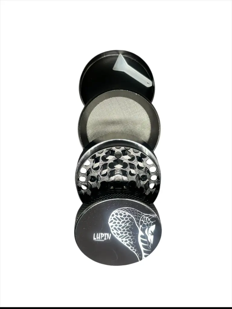 WhatsApp Image 2025-11-02 at 23.21.06.webp