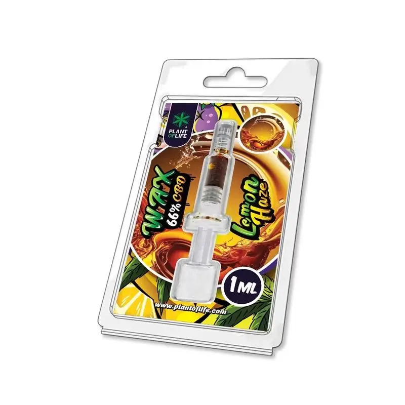 Imagen de WhatsApp 2025-01-11 a las 17.59.39_a06e89e2.webp