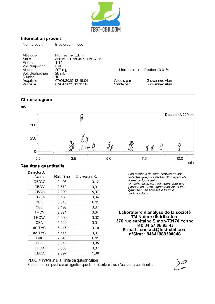 ANALISIS BLUE DREAM.webp