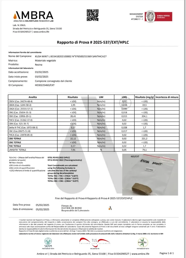 ANALISIS KUSH MINTS.webp
