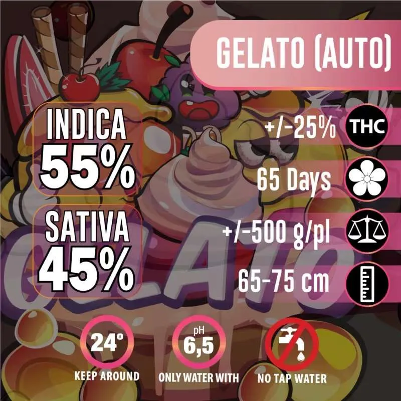 Gelato Auto