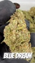 BLUE DREAM
