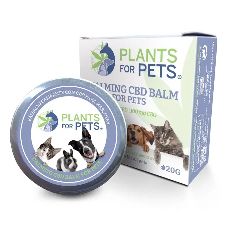 BÁLSAMO CALMANTE DE CBD PARA MASCOTAS 20G