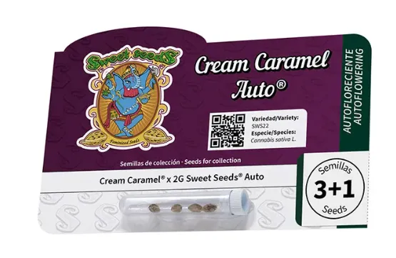Cream Caramel Auto (Sweet Seeds) 3+1
