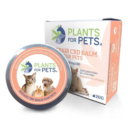 BÁLSAMO REPARADOR DE CBD PARA MASCOTAS 20G